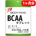 BCAAタブレットタイプ 120粒 どこでもお手軽にBCAAを 国産