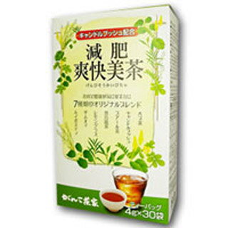 がんこ茶家　減肥爽快美茶　4g×30袋(配送区分:A2)