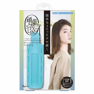 クセ直しカールクリップ 1個入(配送区分:A2)