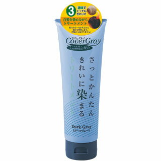 ダイム カバーグレイトリートメント ダークグレー 240g(配送区分:A2)