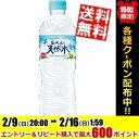 【送料無料】サントリー天然水 奥大山(おくだいせん)550mlペットボトル 24本入〔南アルプスの天然水の西日本版〕※北海道800円・東北400円の別途送料加算