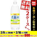 【送料無料】1Lサイズサンガリア伊賀の天然水炭酸水レモン1000mlペットボトル 24本(12本×2ケース)※北海道800円・東北400円の別途送料加算