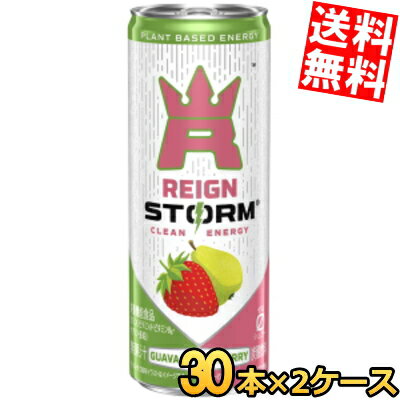 【送料無料】 アサヒ レインストーム グァバストロベリー 250ml缶 60本(30本×2ケース) 炭酸飲料 エナジ..