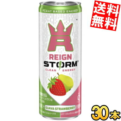 【送料無料】 アサヒ レインストーム グァバストロベリー 250ml缶 30本入 炭酸飲料 エナジードリンク ..