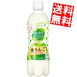 【訳あり 配送希望日指定不可 期限間近2024年11月30日】 【送料無料】カルピスカルピスソーダ 青りんご500mlペットボトル 24本入※北海道800円・東北400円の別途送料加算のサムネイル
