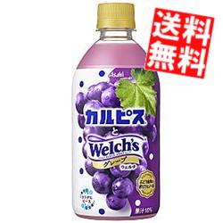 あす楽【訳あり 配送希望日指定不可 期限間近2023年9月】 【送料無料】 アサヒ飲料 カルピスとWelch'sグレープ 480mlペットボトル 24本入 ※北海道800円・東北400円の別途送料加算のサムネイル