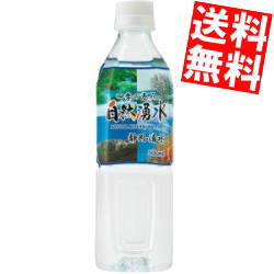 【送料無料】 四季の恵み 自然湧水 静岡・清水 500mlPET 48本(24本×2ケース)【軟水】 ミネラルウォーター 水 ミツウロコ ※北海道800円..