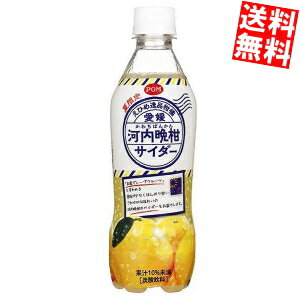 【送料無料】 えひめ飲料 POM（ポン）えひめ逸品柑橘 愛媛河内晩柑サイダー 410mlペットボトル 24本入 ポンジュース ※北海道800円・東北400円の別途送料加算のサムネイル