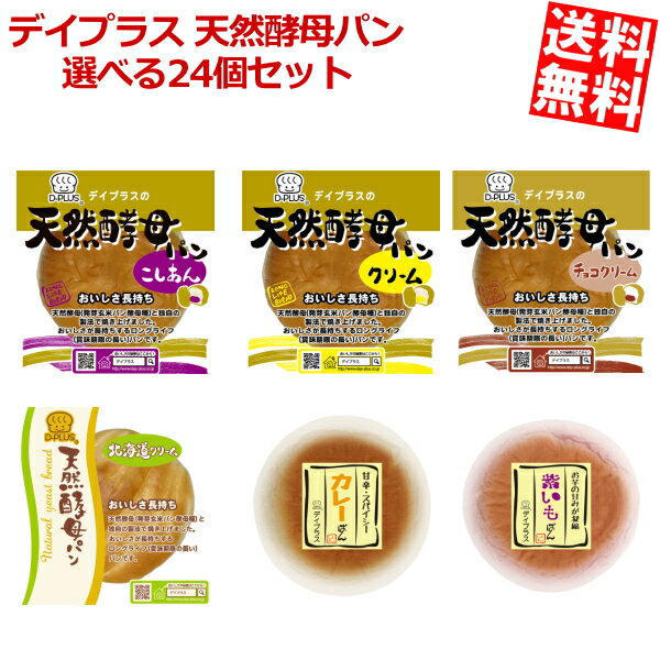 D-PLUS デイプラス 選べる天然酵母パン 計24個セット (6個×4種)