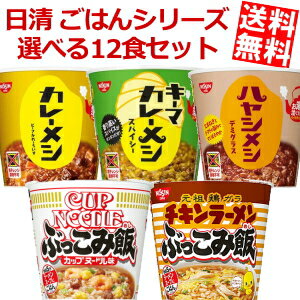 【送料無料】 日清 ごはんシリーズ 