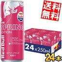 yz bhu XvOGfBV gsJsNO[vt[c 250ml 24{ RED BuLL GiW[hN Spring Edition Gih Gߌt[o[ kC800~Ek400~̕ʓrZ