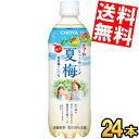 2025年6月3日発売 数量限定【送料無料】 チョーヤ CHOYA 夏梅ソーダ 500gペットボトル 24本入 炭酸飲料 なつうめソーダ 梅ジュース 紀州産南高...