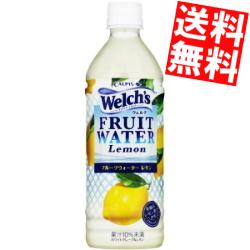 あす楽【訳あり 配送希望日指定不可 】【箱損傷・補強して出荷】【送料無料】カルピス Welch'sウェルチ フルーツウォーターレモン500mlペットボトル 24本入※北海道800円・東北400円の別途送料加算 【賞味期限2024年2月29日】(153)のサムネイル