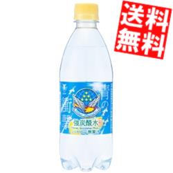 【送料無料】 チェリオ 強炭酸水レモン 500mlペットボトル 48本(24本×2ケース) 炭酸 天然水使用 炭酸水 軟水 割り材 シリカ10mg ※北海道800円 東北400円の別途送料加算