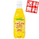 【送料無料】 チェリオ パインアメサイダー 430mlペットボトル 24本入 炭酸飲料 パインあめ ※北海道800円・東北400円の別途送料加算
