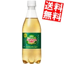 楽天アットコンビニ楽天市場店【送料無料】コカコーラカナダドライジンジャーエール500mlペットボトル 48本（24本×2ケース）※期間限定セール価格※北海道800円・東北400円の別途送料加算