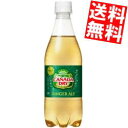 期間限定特価【送料無料】コカコーラカナダドライジンジャーエール500mlペットボトル 48本(24本×2ケース)※期間限定セール価格※北海道800円・東北400円の別途送料加算