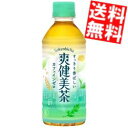 【送料無料】 コカ・コーラ 爽健美茶 300mlペットボトル 48本(24本×2ケース) コカコーラ ※北海道800円・東北400円の別途送料加算