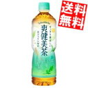【送料無料】 コカコーラ 爽健美茶 600ml増量ペットボトル 48本(24本×2ケース) コカ・コーラ ボタニカル飲料 ※北海道800円・東北400円の別途送...