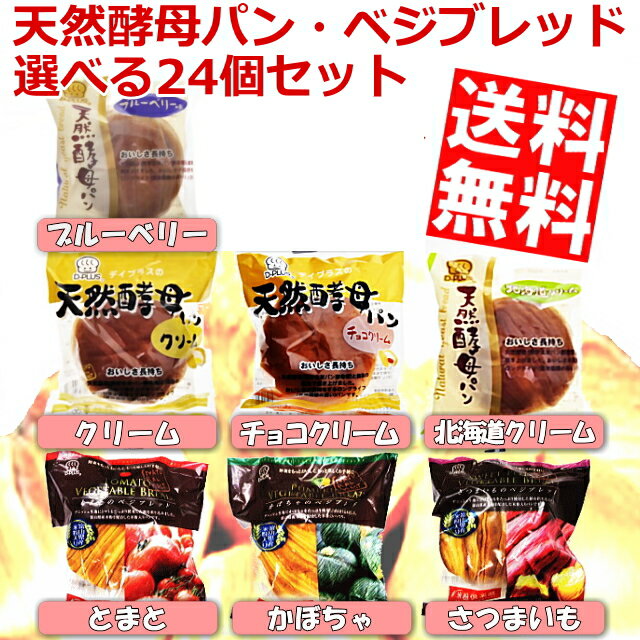 【送料無料】D-PLUS デイプラス選べる天然酵母パン計24個セット(6個×4種)※北海道800円・東北400円の別途送料加算