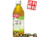  機能性表示食品 ダイドー 肌美精監修 玉露仕立て緑茶プラス 500mlペットボトル 48本(24本×2ケース) お茶 肌弾力を維持 ストレスを和らげる ※北海道800円・東北400円の別途送料加算