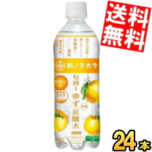 期間限定特価【送料無料】 ダイドー 和ノチカラ 旬搾り ゆず炭酸水 500mlペットボトル 24本入 スパークリングウォーター 栄養機能食品 無糖炭酸水 ※北海道800円・東北400円の別途送料加算