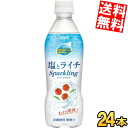 期間限定特価【送料無料】ダイドー ミスティオ 塩とライチスパークリング 410mlペットボトル 24本入 熱中症対策 mistio ソルティライチ ※北海道800円・東北400円の別途送料加算(4)