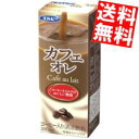  エルビー カフェオレ 200ml紙パック 48本(24本×2ケース)※北海道800円・東北400円の別途送料加算