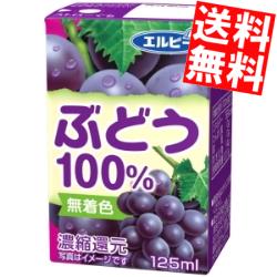 【送料無料】 エルビー ぶどう100％ 125ml紙パック 120本(30本×4ケース) 果汁100%ジュース 飲み切りサ..