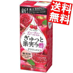 【送料無料】 エルビー ぎゅっと果実プラ酢 ざくろミックス 200ml紙パック 24本入 果実酢 フルーツビネガー 無添加 果汁100％ ビネガードリンク 酢飲料 飲む酢 飲むお酢 ザクロ ジュース ※北海道800円・東北400円の別途送料加算のサムネイル