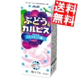 【送料無料】 エルビー ぶどう&カルピス 250ml紙パック 48本(24本×2ケース) フルーツカルピス グレープ..