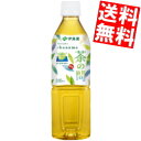 期間限定特価 【送料無料】 伊藤園 茶の間 500mlペットボトル 24本 お茶 緑茶 国産茶葉100% ※北海道800円・東北400円の別途送料加算