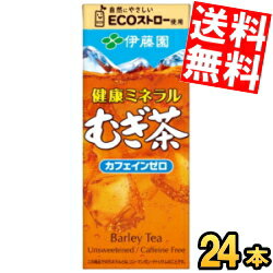 あす楽 【送料無料】 伊藤園 健康ミネラルむぎ茶 250ml紙パック 24本入 ミネラル麦茶 お茶 ※北海道800円 東北400円の別途送料加算