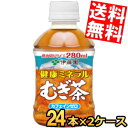  伊藤園 健康ミネラルむぎ茶 280mlペットボトル 48本(24本×2ケース) ミネラル麦茶 ※北海道800円・東北400円の別途送料加算