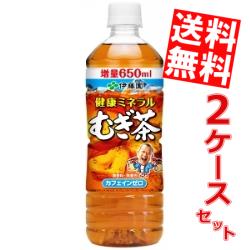 【送料無料】伊藤園健康ミネラルむぎ茶650mlペットボトル 48本(24本×2ケース)[ミネラル麦茶]※北海道800円・東北400円の別途送料加算