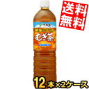 期間限定特価 【スリムボトル】【送料無料】 伊藤園 健康ミネラルむぎ茶 1Lペットボトル 24本(12本×2ケース) ミネラル麦茶 1000ml お茶 ※北海道...