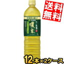 期間限定特価【スリムボトル】【送料無料】 伊藤園 お〜いお茶 濃い茶 1Lペットボトル 24本(12本×2ケース) おーいお茶 濃いお茶 1000ml ※北海道...