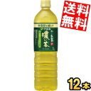 期間限定特価【スリムボトル】【送料無料】 伊藤園 お〜いお茶 濃い茶 1Lペットボトル 12本入 おーいお茶 濃いお茶 1000ml ※北海道800円・東北40...