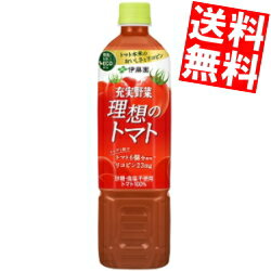 【送料無料】 伊藤園 充実野菜 理想のトマト 740gペットボトル 15本入 野菜ジュース トマトジュース トマト100％ ※北海道800円・東北400円の別途送料加算のサムネイル