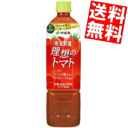 【送料無料】 伊藤園 充実野菜 理想のトマト 740gペットボトル 15本入 野菜ジュース トマトジュース トマト100％ ※北海道800円・東北400円の別途送料加算