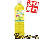 期間限定特価【送料無料】 伊藤園 Relaxジャスミンティー 1Lペットボトル 24本(12本×2ケース) リラックスジャスミンティー スリムボトル 1000m...