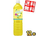 期間限定特価【送料無料】 伊藤園 R