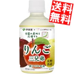 【送料無料】 伊藤園 ニッポンエール 長野県産りんご三兄弟 280gペットボトル 48本(24本×2