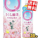 あす楽伊藤園 お～いお茶 まろやか さくら緑茶 460mlペットボトル 30本入 お茶 緑茶 国産さくらエキス使用 桜緑茶 お花見に おーいお茶 数量限定 〇やか ※北海道800円・東北400円の別途送料加算 