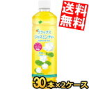 伊藤園 リラックスジャスミンティー 460mlペットボトル 60本(30本×2ケース) ジャスミン茶 お茶 ※北海道800円・東北400円の別途送料加算