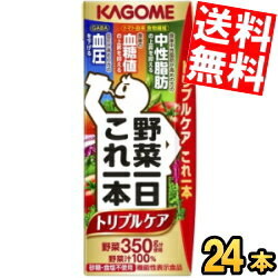 あす楽 期間限定特価【送料無料】【トリプルケア】カゴメ 野菜一日これ一本 トリプルケア 200ml紙パック 24本入 野菜ジュース 野菜1日これ1本 機能性表示食品 野菜一日これ一本 Plusよりリニューアル※北海道800円・東北400円の別途送料加算のサムネイル