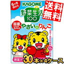 【送料無料:お徳用4セット】 カゴメ 野菜生活100 国産100% やさいとりんご 100ml紙パック 120本30(3p×12)本×4セット 幼児用りんごよりリニューアル 野菜ジュース ※北海道800円・東北400円の別途送料加算(4)