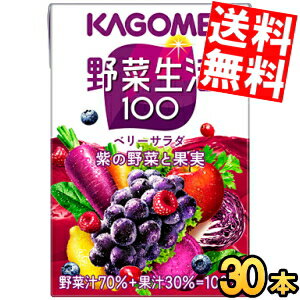 楽天アットコンビニ楽天市場店【送料無料】 カゴメ 野菜生活100ベリーサラダ 100ml紙パック 30本入 野菜ジュース ※北海道800円・東北400円の別途送料加算