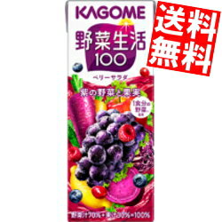 【送料無料】カゴメ 野菜生活100 ベリーサラダ 200ml紙パック 48本(24本×2ケース) 野菜ジュース 紫の野菜 ※北海道800円・東北400円の別途送料加算のサムネイル