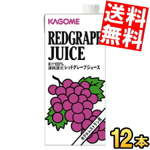 【送料無料】カゴメ レッドグレープジュース（ホテルレストラン用）1L紙パック 12（6×2）本入※北海道800円・東北400円の別途送料加算